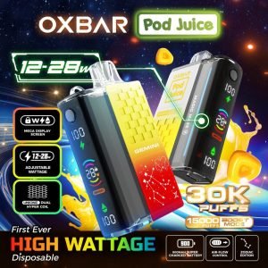 Oxbar Magic Maze 30000 Puffs