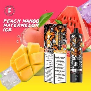 FRUTTO 18000 Puffs Disposable Vape Peach Mango Watermelon Ice