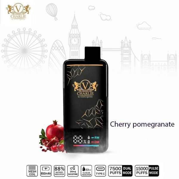 VICIG Charlie 15000 Puffs Disposable Vape Cherry Pomegranate