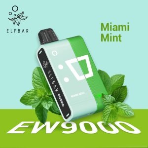 Elf Bar EW9000 Disposable Pod Miami Mint