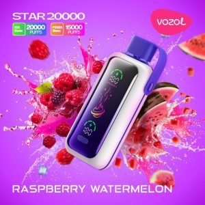 VOZOL Star 20000 Puffs Disposable Raspberry Watermelon