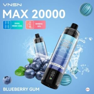 VNSN Max DTL 20000 Puffs Blueberry Gum