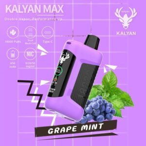 Kalyan Max 18000 Puffs Vape Grape Mint