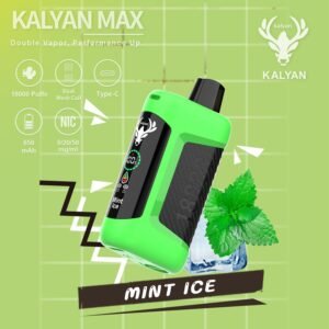 Kalyan Max 18000 Puffs Vape Mint Ice