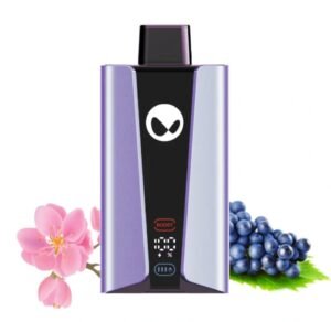 WAKA PA20000 Disposable Vape Sakura Grape