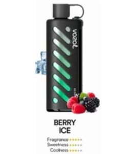 Vozol Gear Shisha 25000 Puffs Disposable Vape berryice