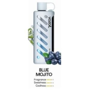 Vozol Gear Shisha 25000 Puffs Disposable Vape blue mojito