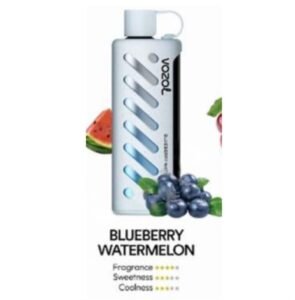 Vozol Gear Shisha 25000 Puffs Disposable Vape blueberry mint