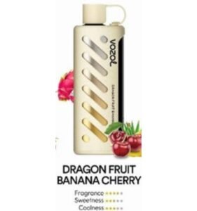 Vozol Gear Shisha 25000 Puffs Disposable Vape fruit banana cherry