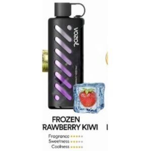 Vozol Gear Shisha 25000 Puffs Disposable Vape frozen rawberry