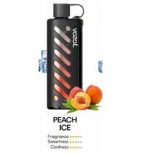 Vozol Gear Shisha 25000 Puffs Disposable Vape peach ice