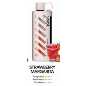 Vozol Gear Shisha 25000 Puffs Disposable Vape strawberry magarita